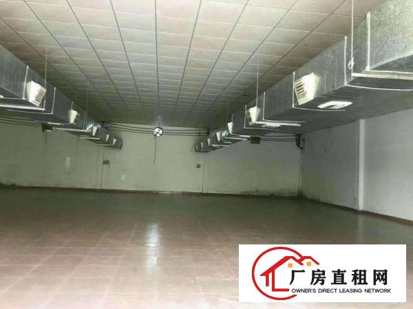 
		望牛墩单一层厂房1400平方,滴水7米带隔热层出租
	