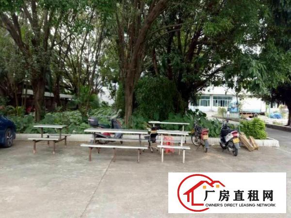 
		东莞望牛墩工业区全新村委独院4000平方厂房招租
	