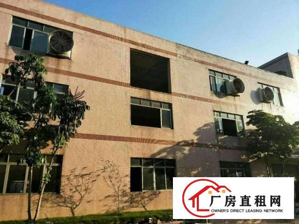 
		东莞望牛墩工业区全新村委独院4000平方厂房招租
	
