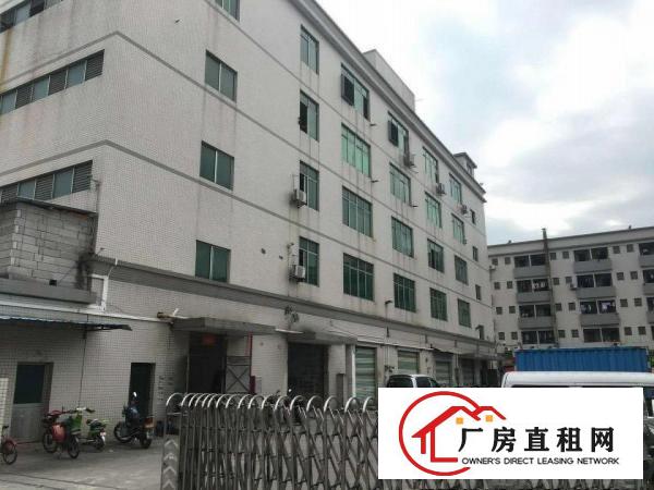 
		望牛墩全新钢结构8米滴水厂房出租
	