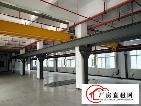 
		望牛墩聚龍江厂房25000平米
	
