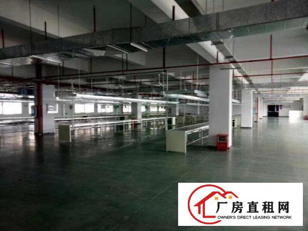 
		望牛墩聚龍江厂房25000平米
	