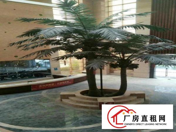 
		望牛墩东莞市，豪华酒店出租
	
