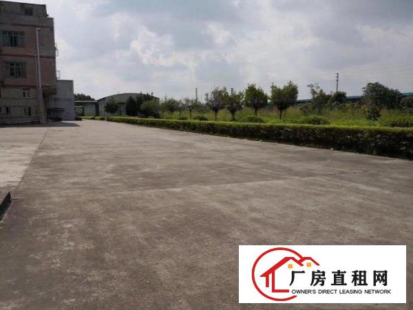 
		望牛墩有红本消防证厂房14800平米
	