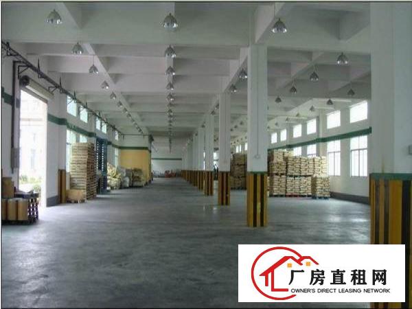 
		望牛墩工业区新出一楼7米高1000平带豪华办公室装修出租
	