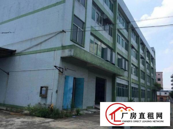 
		望牛墩独门独院6600平方米标准楼房厂房出租
	