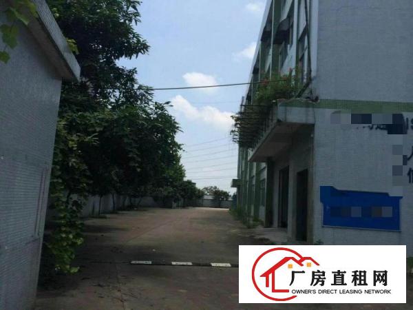
		望牛墩独门独院6600平方米标准楼房厂房出租
	