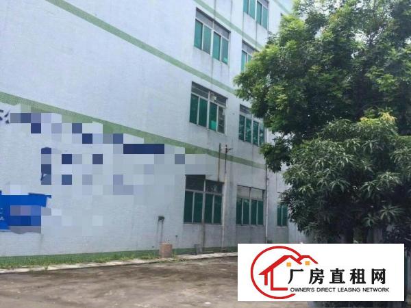
		望牛墩独门独院6600平方米标准楼房厂房出租
	