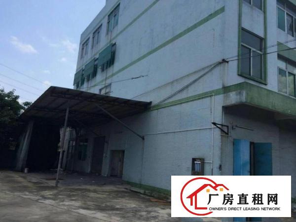
		望牛墩独门独院6600平方米标准楼房厂房出租
	