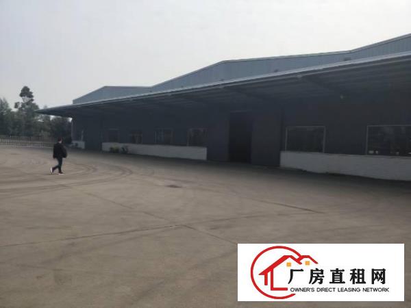 
		望牛墩新出原房东独门独院单一层厂房，可分租
	