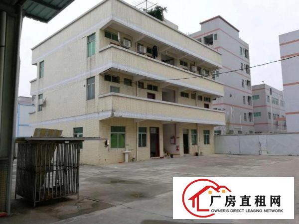 
		望牛墩下漕工业区新出单一层厂房2000方独门独院
	