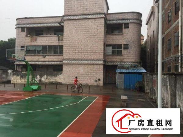 
		望牛墩五福路厂房600平米
	