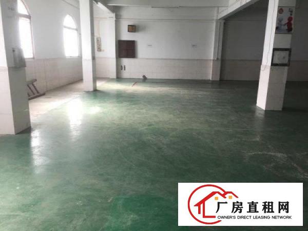 
		望牛墩五福路厂房600平米
	