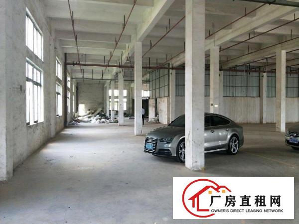 
		望牛墩望牛顿官洲附近厂房16600平米
	