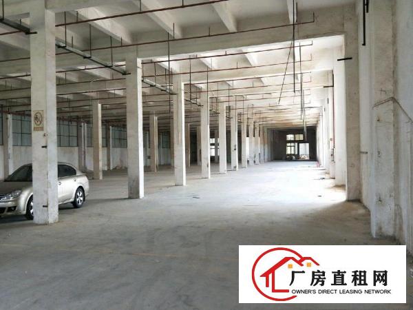 
		望牛墩望牛顿官洲附近厂房16600平米
	