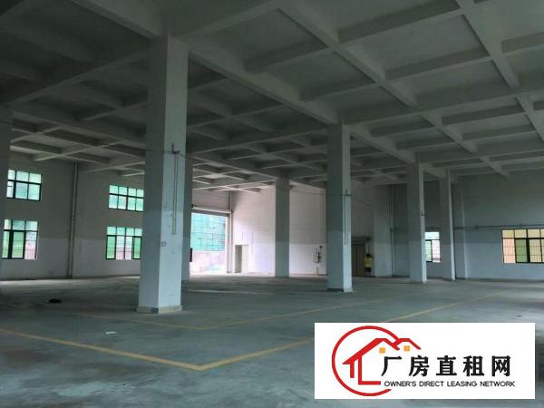 
		黄江厂房4000米，大小可分租
	