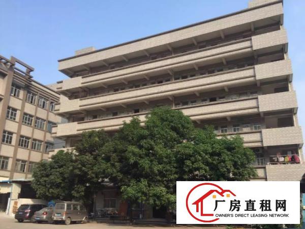 
		洪梅梅沙现有1000平方米带地坪漆二楼厂房招租
	