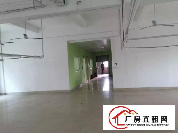 
		洪梅梅沙现有1000平方米带地坪漆二楼厂房招租
	