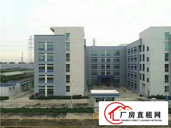 
		东莞洪梅高速出口旁大型工业园19000平独栋招租
	