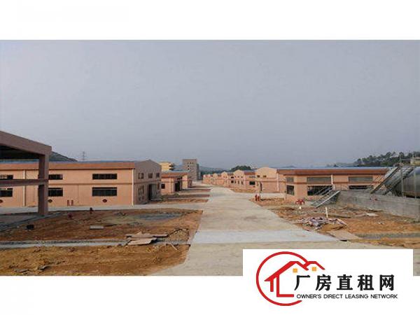 
		洪梅化工厂房仓储出租，油漆化工厂房，五金油漆，PU油,树脂
	