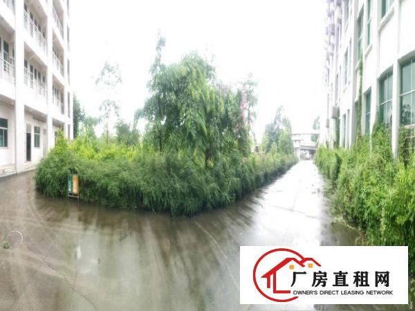 
		东莞洪梅大道厂房35000平米
	