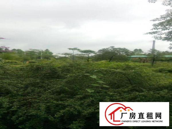 
		东莞市洪梅镇花园式厂房25000平米出租
	