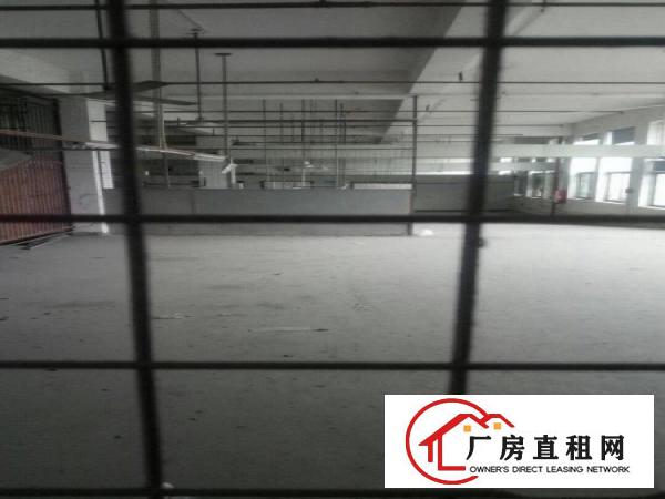 
		东莞市洪梅镇花园式厂房25000平米出租
	