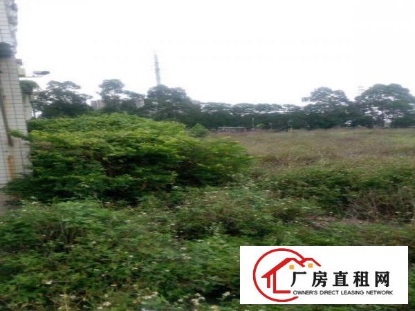 
		东莞市洪梅镇花园式厂房25000平米出租
	