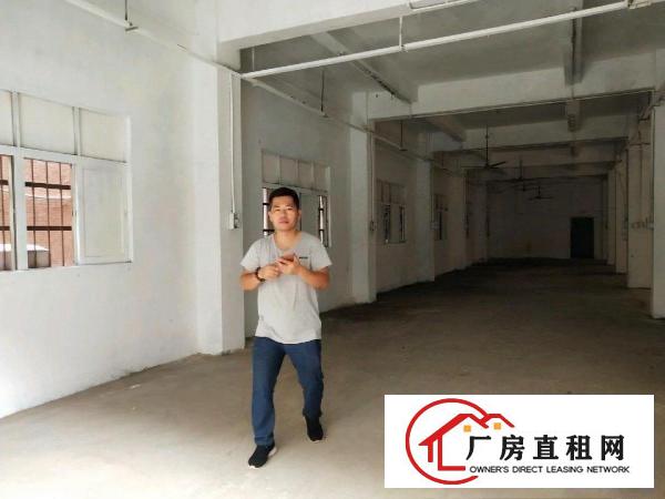 
		大岭山镇原房东厂房出租/分租/整租
	