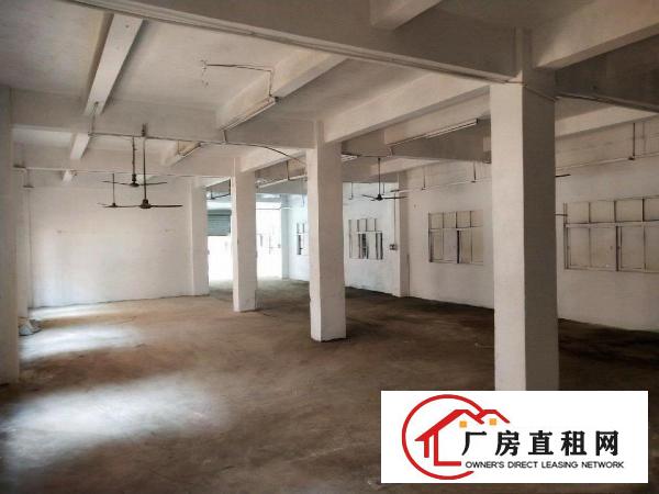 
		大岭山镇原房东厂房出租/分租/整租
	