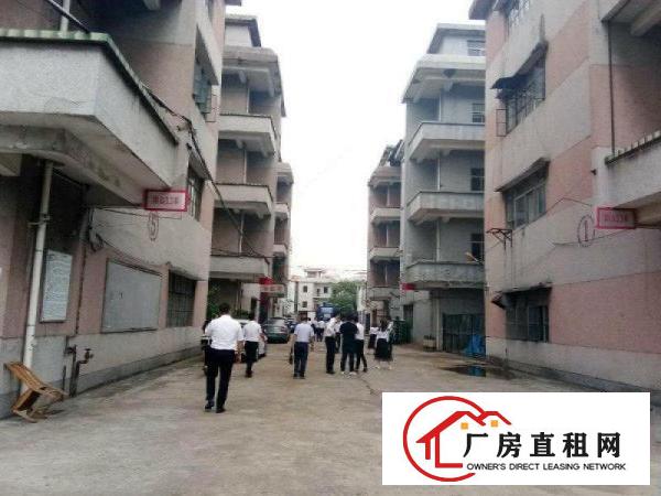 
		万江坝头村旁一二三楼各760平米厂房仓库出租
	