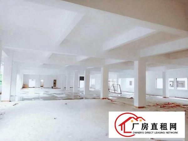 
		万江中创汇智能制造产业园全球招商非中介大小可租
	