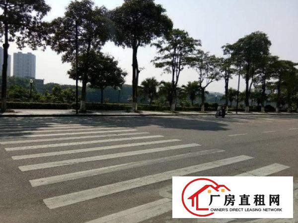 
		万江正规工业区标准一楼900平方（有现成装修）
	