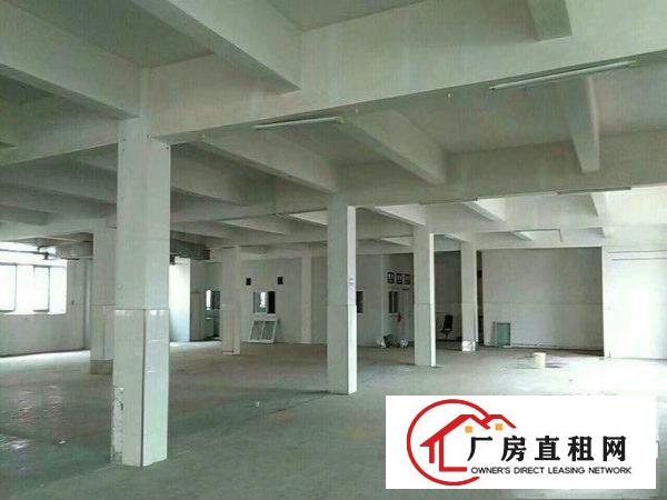 
		万江流涌尾工业园标准厂房分租2楼
	