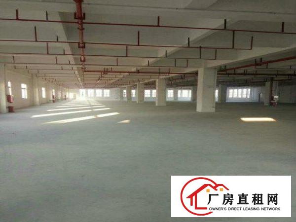 
		万江新和科技园可办环评超靓厂房招租
	