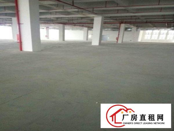 
		万江新和科技园可办环评超靓厂房招租
	