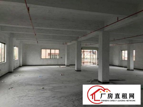 
		万江新村全新独栋有电梯厂房招租
	