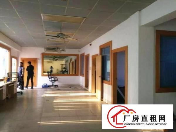 
		万江独院单一层厂房2100平方滴水高9米不限行业
	