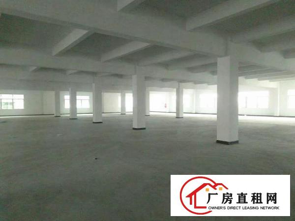 
		万江简沙洲分租三楼2600平方无公摊厂房适合做仓库
	