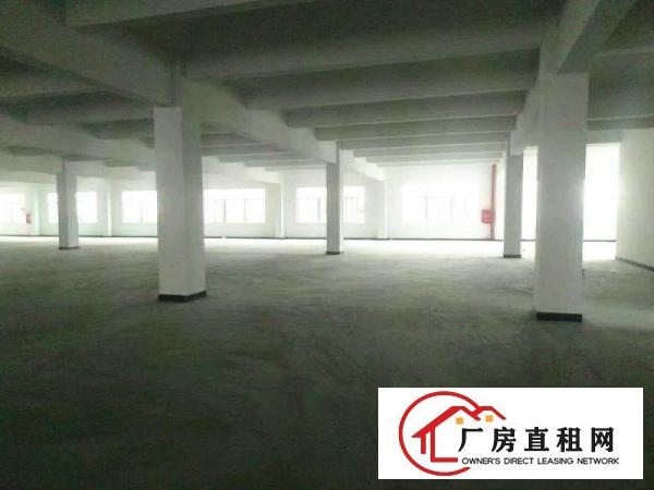 
		万江简沙洲分租三楼2600平方无公摊厂房适合做仓库
	