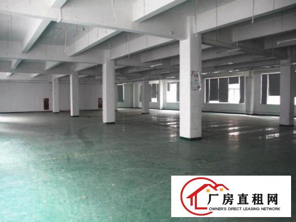 
		万江莫屋二楼分租830平方带地坪漆水电齐全用电按需
	