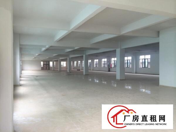 
		万江原房东分租二楼1320平有喷淋消防配2吨电梯
	