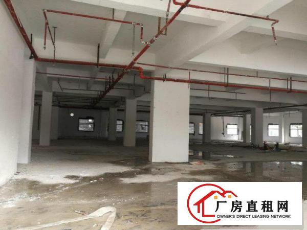 
		东莞市中堂镇升级装修新出独门独院厂房开始招租
	