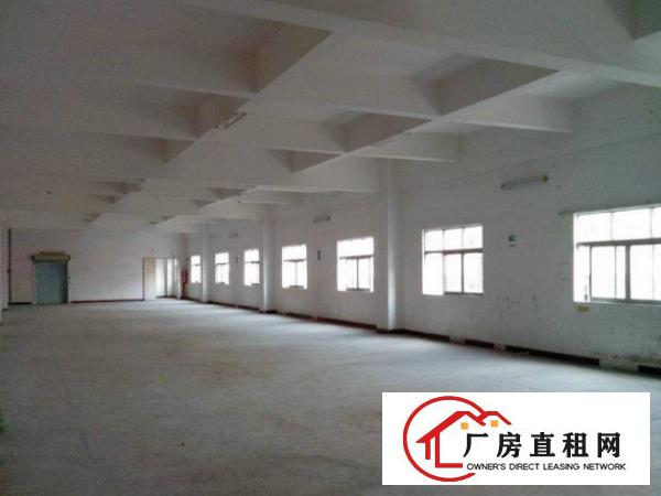
		石美1100平标准厂房，配套齐全
	