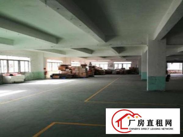 
		万江墟标准楼上1200平刷好地坪漆出租
	
