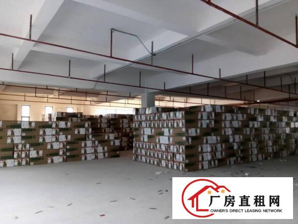 
		万江莫屋独院厂房10000平方（形象好）
	