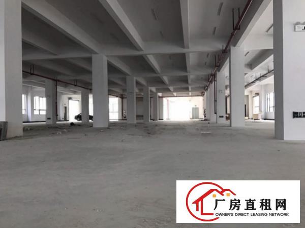 
		万江新村一楼1000平厂房，临近主干道，水电齐全
	