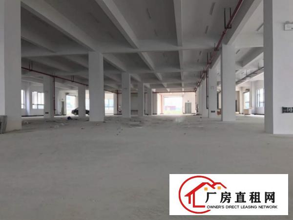 
		万江新村一楼1000平厂房，临近主干道，水电齐全
	