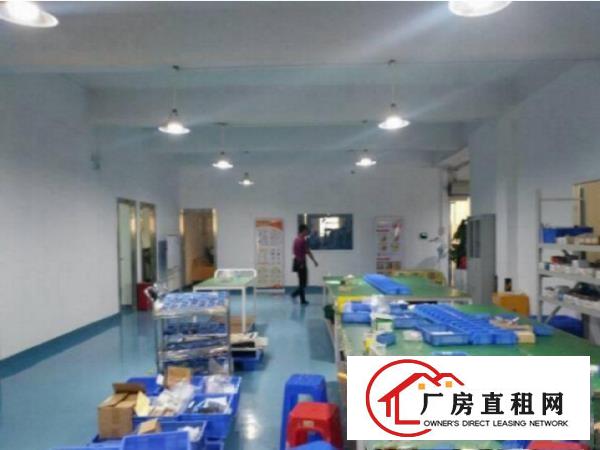 
		万江全新的二楼1200平米厂房出租豪修水电齐全
	