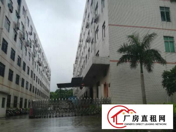 
		万江环城路附近豪华装修楼上900平方厂房出租
	
